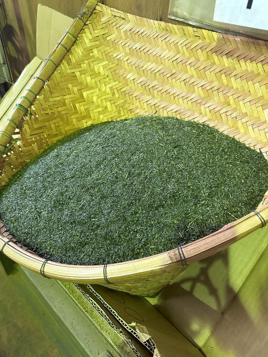 Vol.2 日本茶はどのようにしてできる?