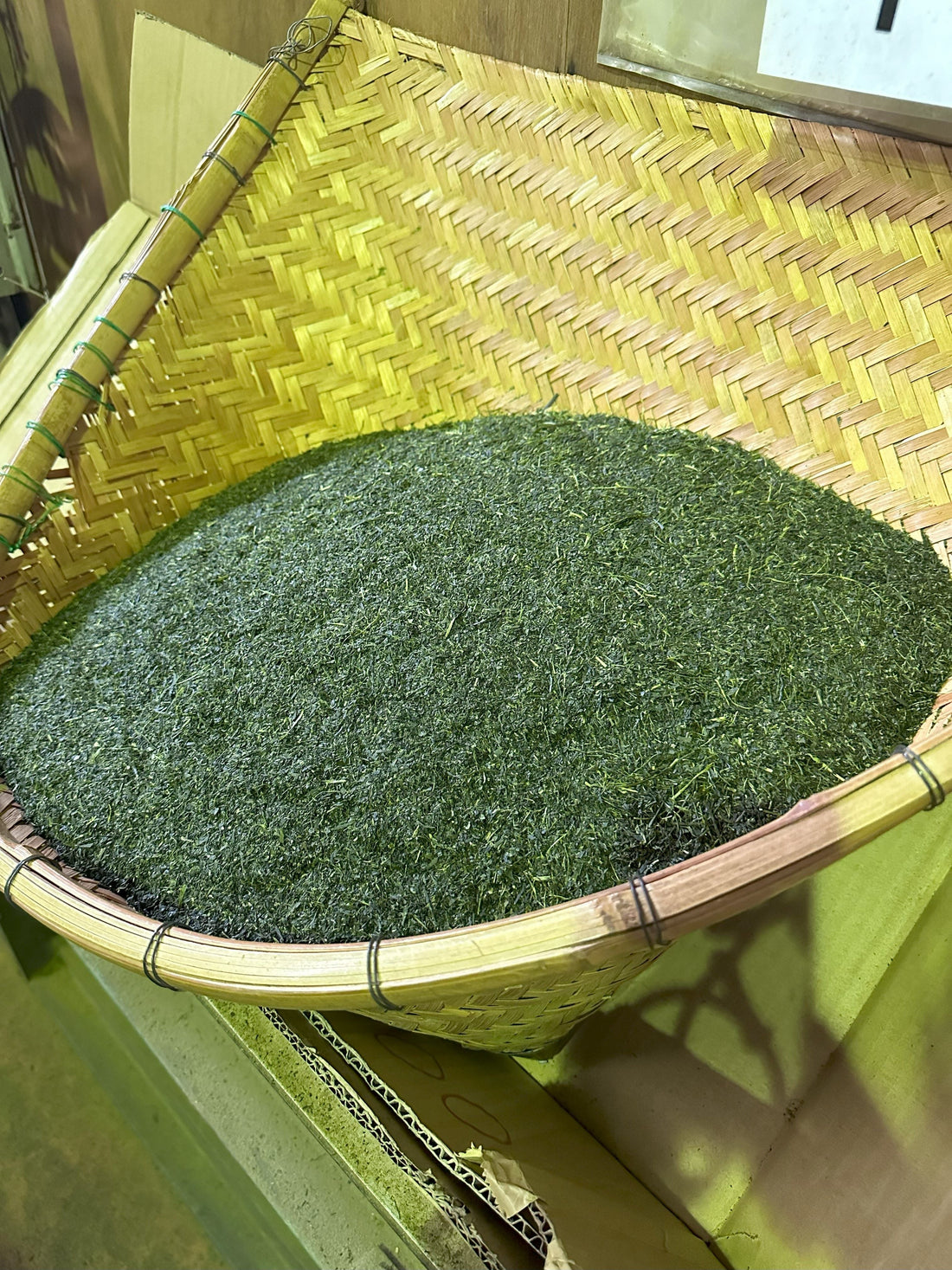 Vol. 2 日本茶はどのようにしてできる? 畑から湯呑みまで―蒸し製緑茶の工程