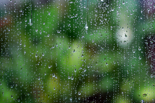 雨音とともに味わう、日本茶のひととき
