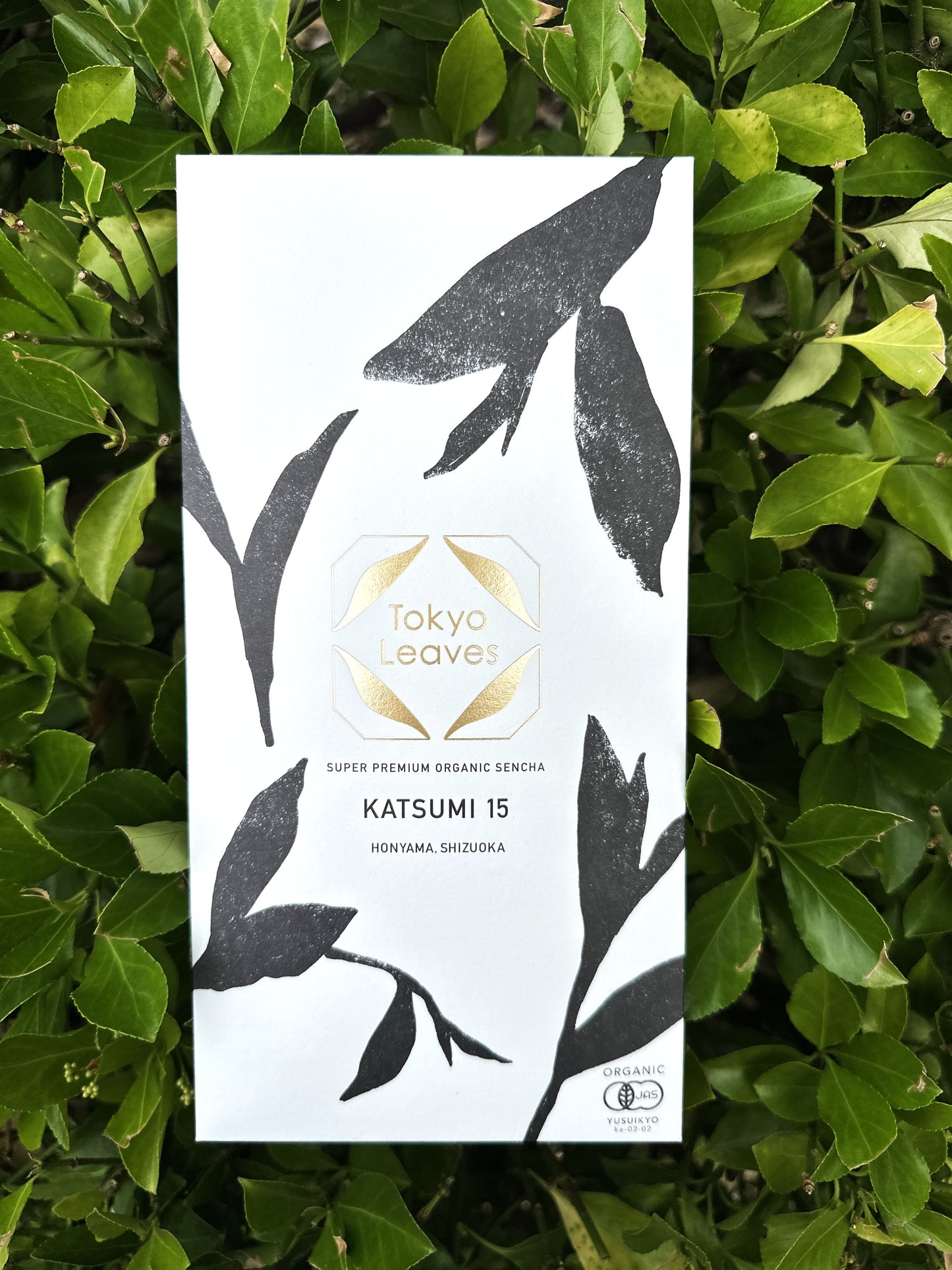 【Tokyo Leaves】　2025　Japanese Organic Sencha KATSUMI15