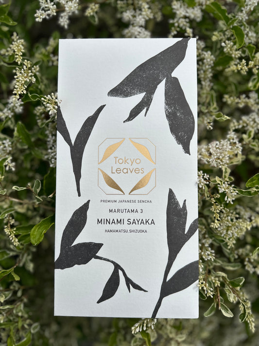 【Tokyo Leaves】　2025　Japanese  Sencha MARUTAMA3 MINAMI SAYAKA