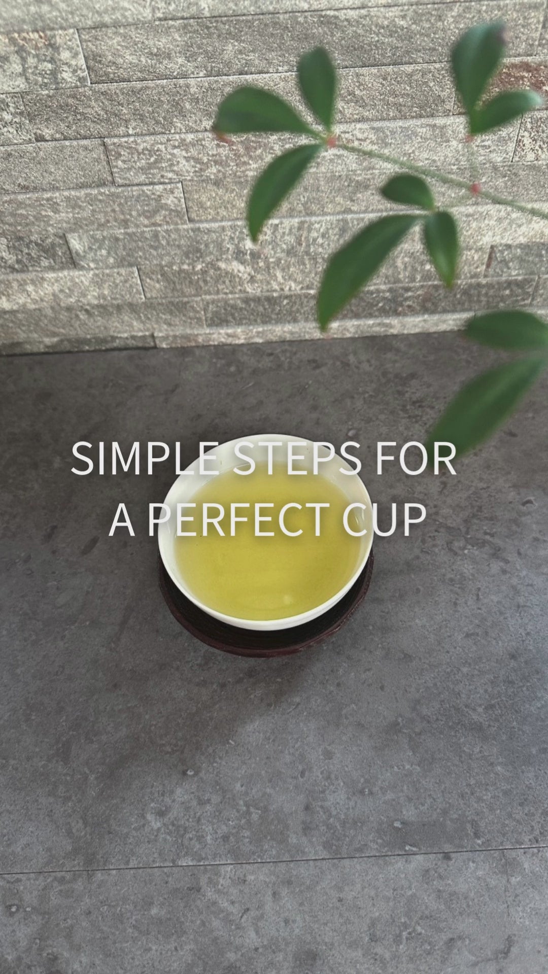紗茶ページ Tokyo Leaves】2026 Premium Organic Sencha SUGIYAMA9 SAKURA – TOKYO
